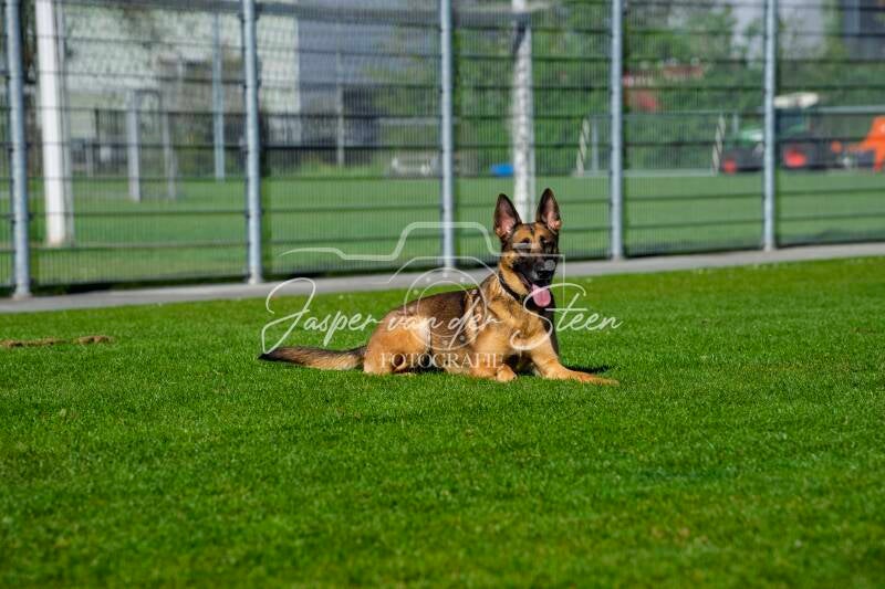 dsc03893-kopie-standard.jpg