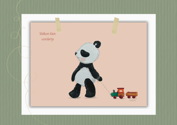 Welkom klein wondertje panda