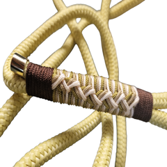 photoroom-20230810_161953-standard.png