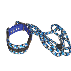 photoroom-20241203_162727-standard.png