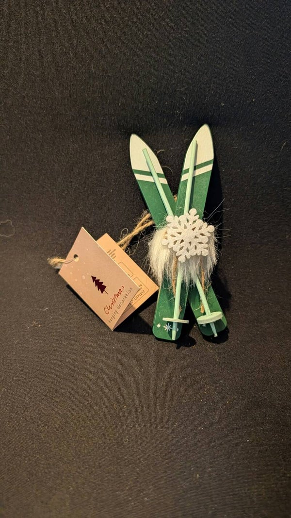 Retro ski groen