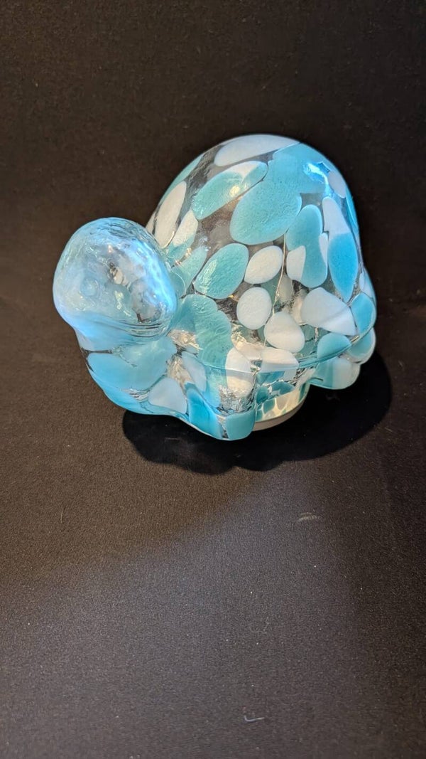 Glazen schildpad