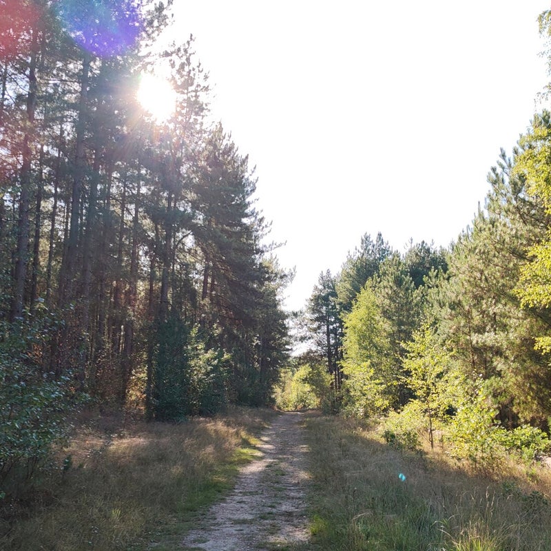 LTJ-Trail - natuur