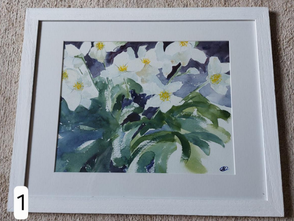 Winterroos - afmeting: 45x45 -