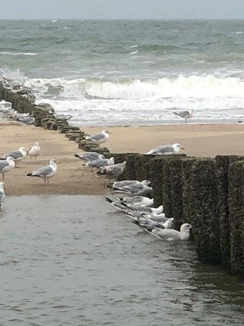 Hier aan zee ontstaan mooie verhalen.