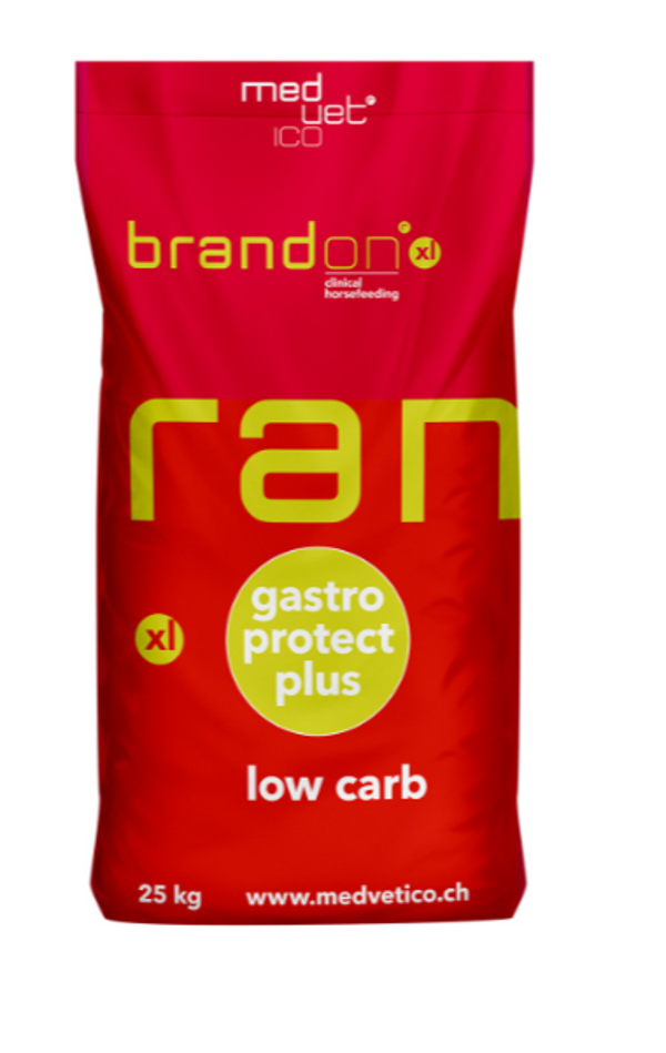 St. Hippolyt Brandon XL 25 Kg