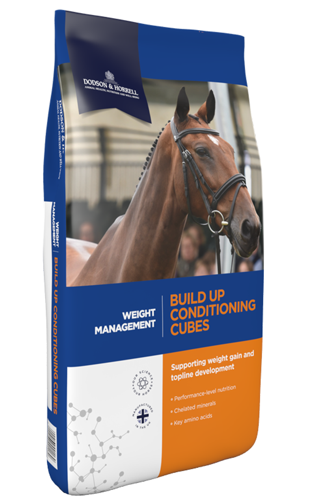 Dodson & Horrell Build Up Conditioning Cubes 20Kg