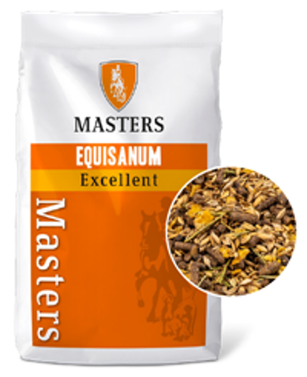 Masters Excellent 20 Kg (SportMuesli)