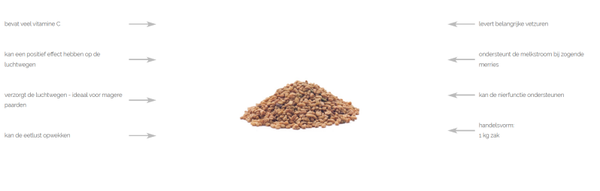 Agrobs Bergsiegel Bockshornkleesamen 1kg (fenegriek)