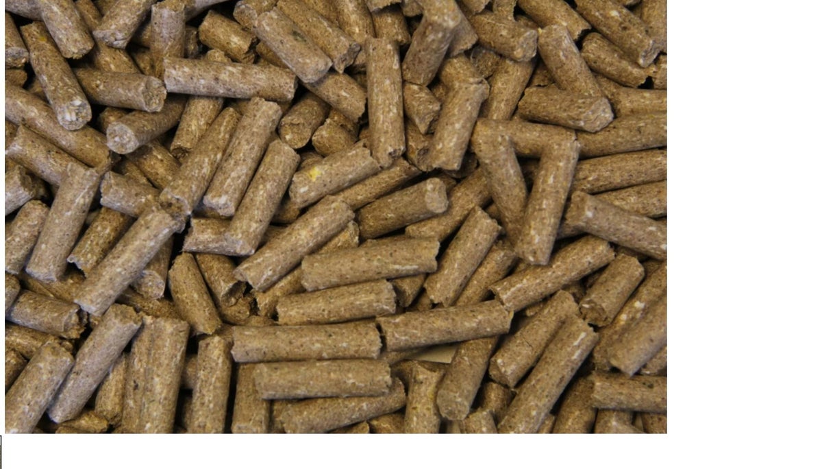 Voermeesters Basis 20 Kg GMO- Controlled Paardenvoer | Voer Voor Paarden