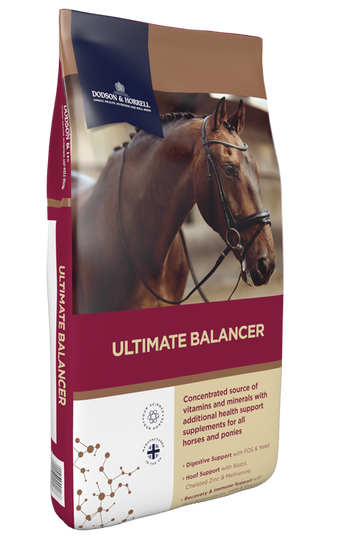 Dodson & Horrell Ultimate Balancer