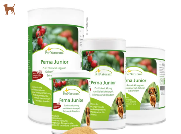 PerNaturam Hond Perna Junior