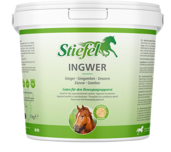Stiefel Gember (Ingwer) Gemalen 1 Kg