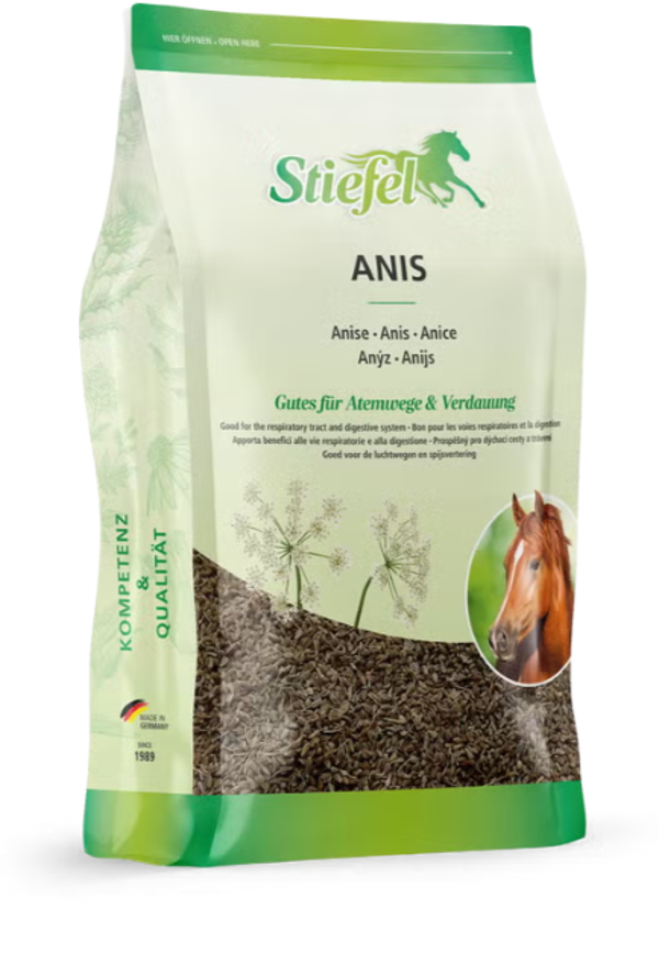 Stiefel Anijs (Anis) hele zaden 500 Gram
