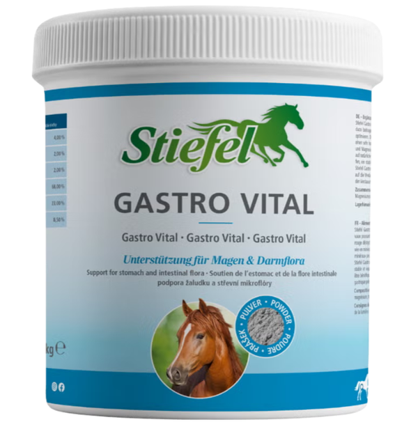 Stiefel Gastro Vital 1 Kg