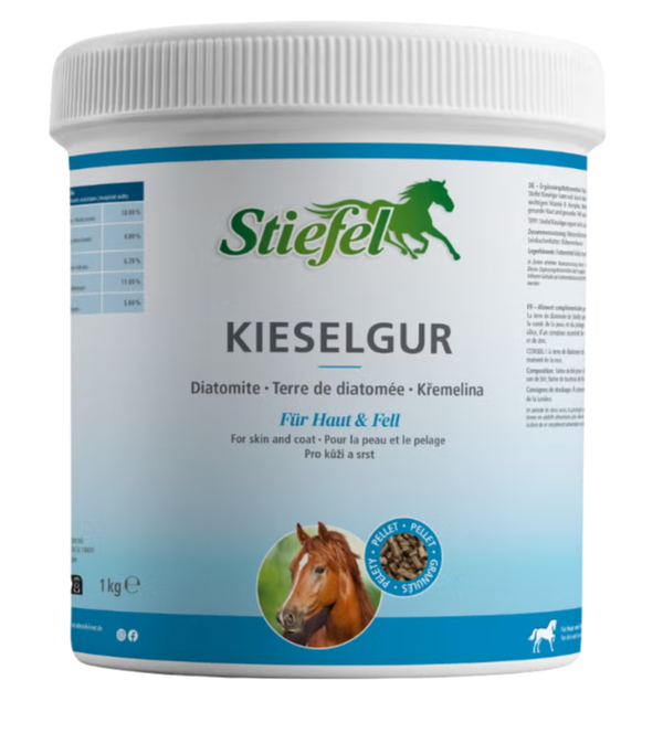 Stiefel Kieselgur 1 Kg