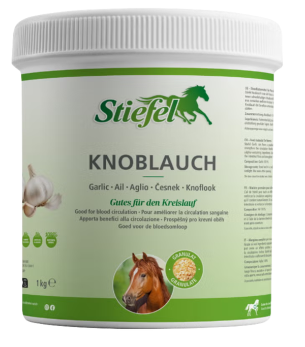 Stiefel Knoflook (Knoblauch)