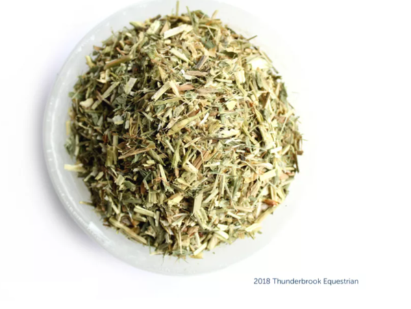 Thunderbrook Echinace 1kg