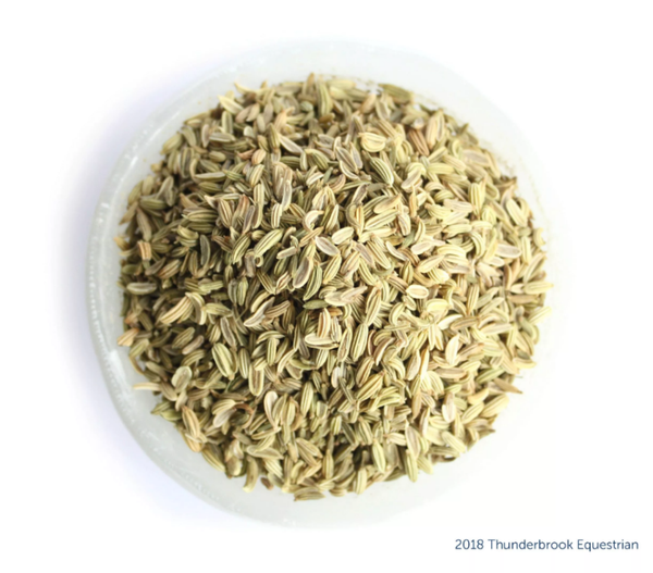 Thunderbrook Fennel seed 1kg