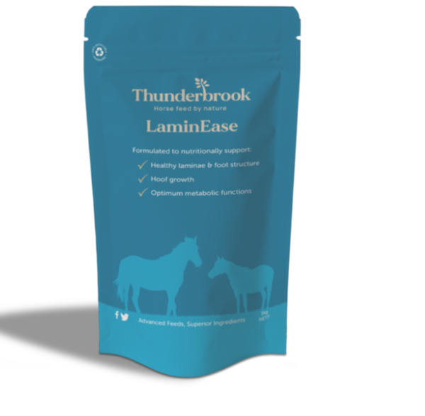 Thunderbrook LaminEase 1 Kg