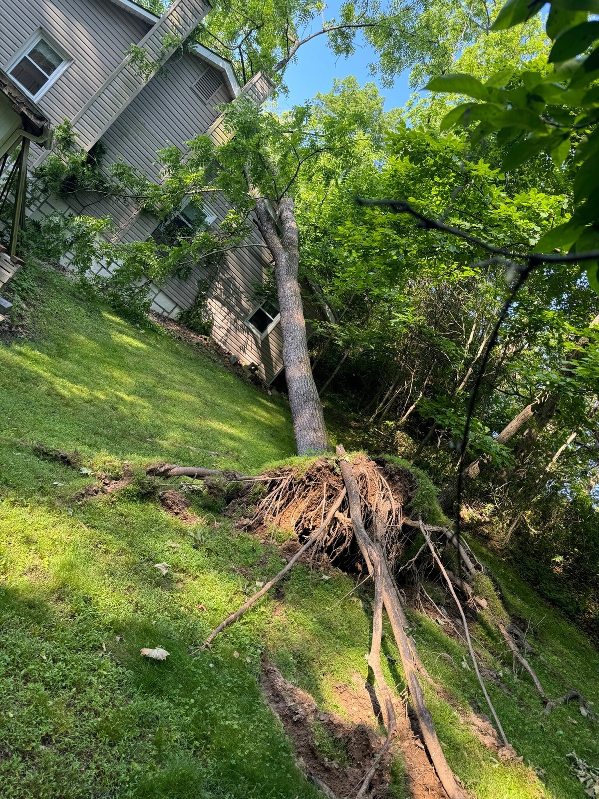Wood Wise Tree Services LLC