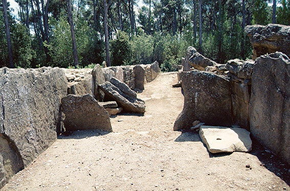 Espace interne cloisonné de l'allée couverte de Saint-Eugène, Laure-Minervois (Aude)