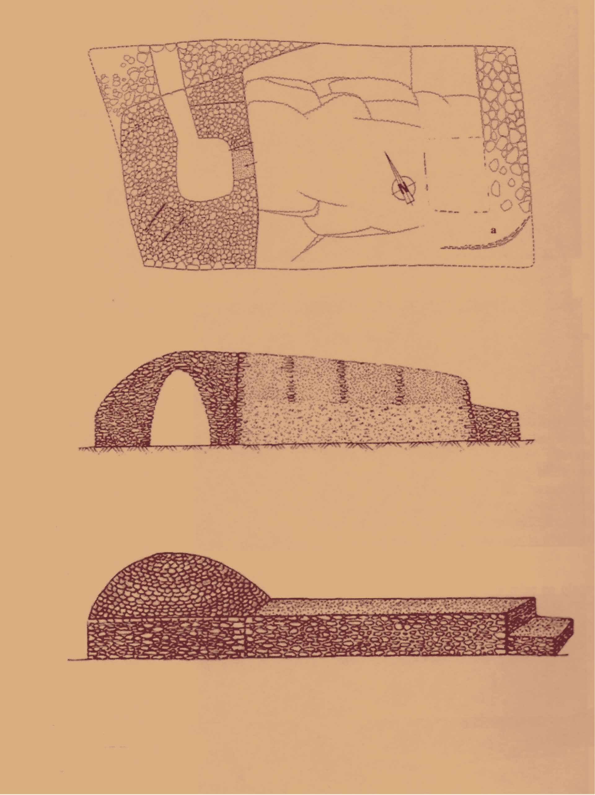 Plan et restitution du tumulus A de Champ-Châlon, Benon (Charente-Maritime)