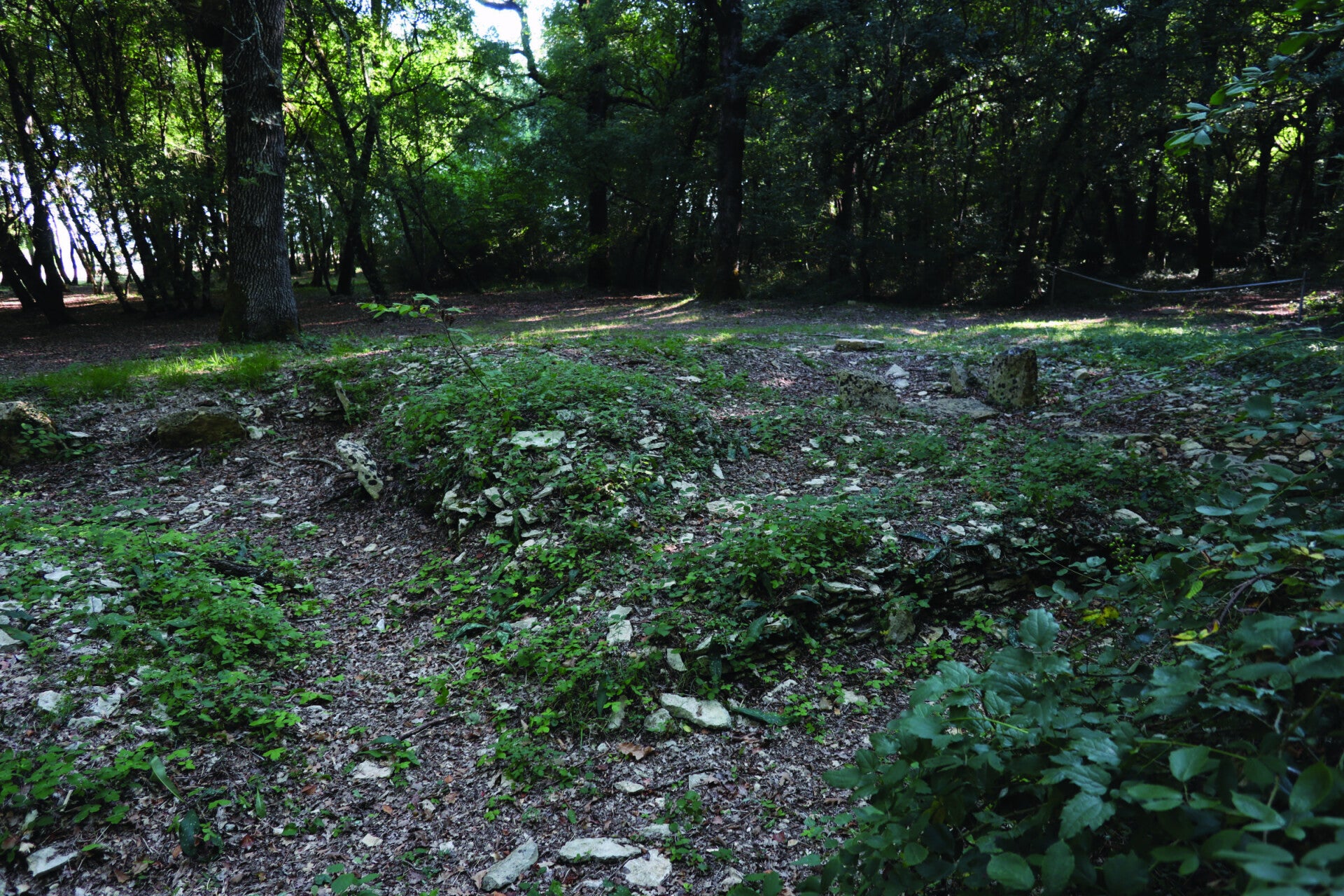 Le tumulus A de la nécropole de Champ-Châlon dans son état actuel, Benon (Charente-Maritime)