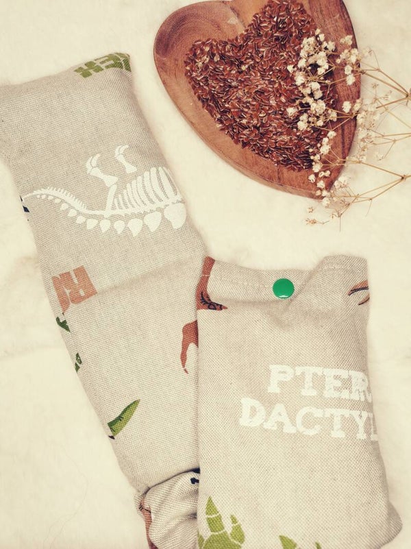 Bouillotte : Dinausaure