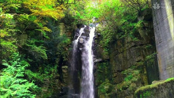 Mp3 Opschonen andere mensen hun energie en koorden verbreken