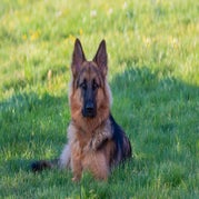 _DDC8522-100.jpg