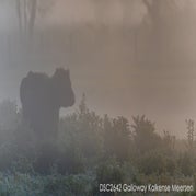 _DSC2642-naam.jpg