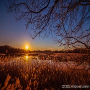 _DSC8332-naam.jpg