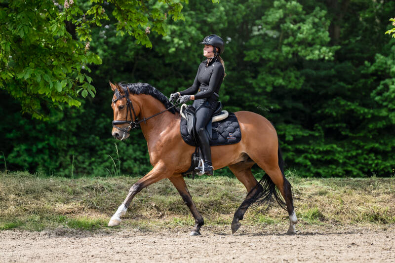 jasmijn-clinic-dwf-allhorse-logo-dwf-standard-c3htsp.jpg