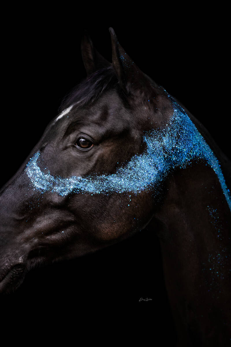 nabucco-glitters-dwf-logo-6-standard.jpg
