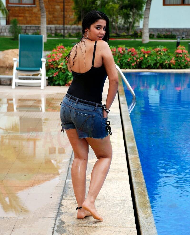 charmi1743-standard.jpg