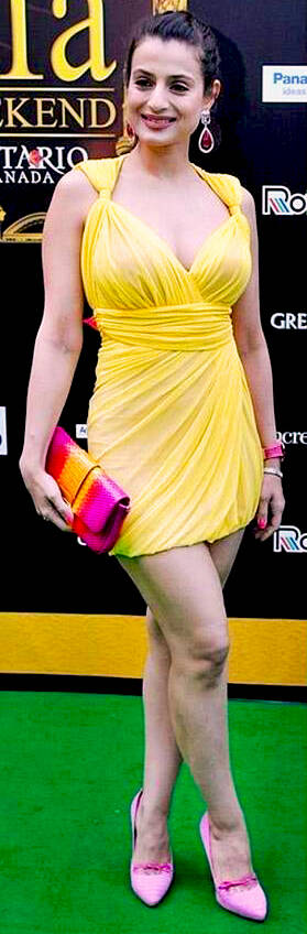 iifa_2011_12-standard.jpg