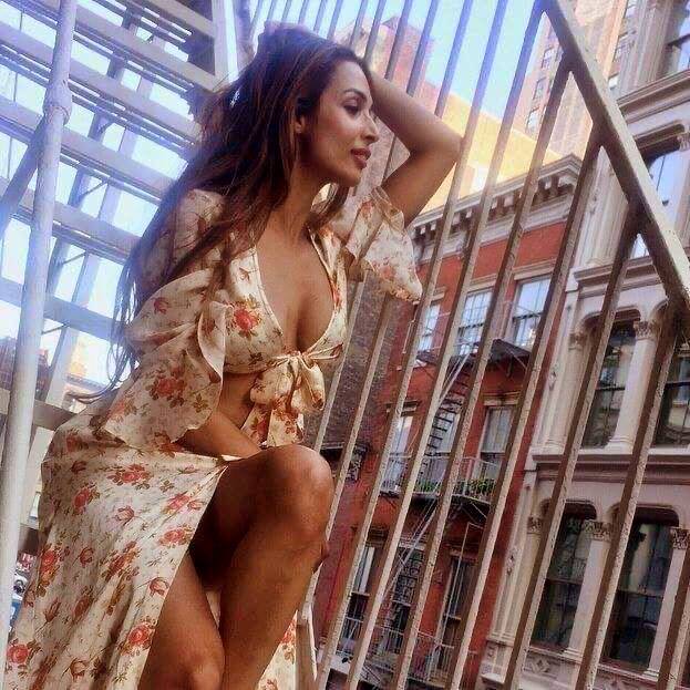 malaika-twitter-2-standard.jpg