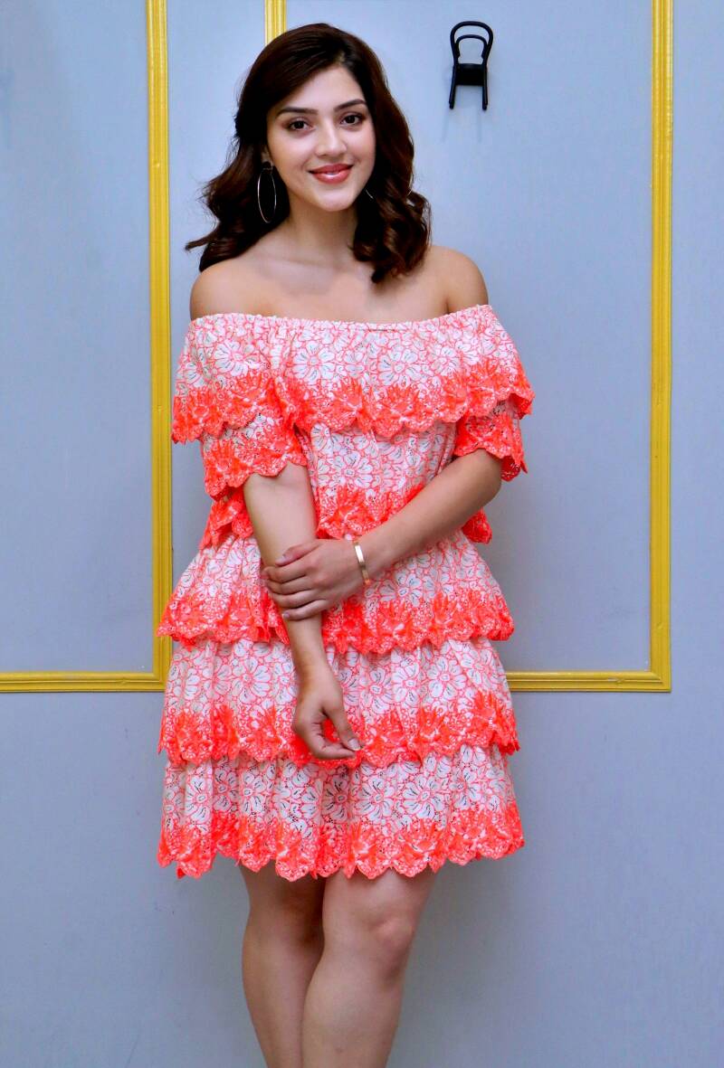mehrene-kaur-pirzada-at-aswathama-movie-interview-standard.jpg
