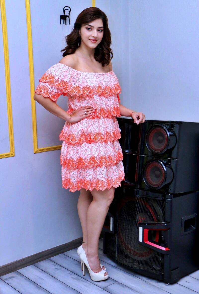 mehrene-kaur-pirzada-at-aswathama-movie-interview2-standard.jpg