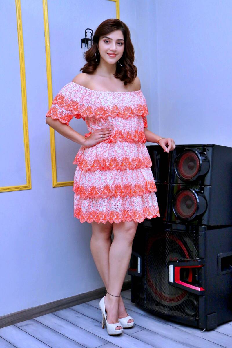 mehrene-kaur-pirzada-at-aswathama-movie-interview3-standard.jpg