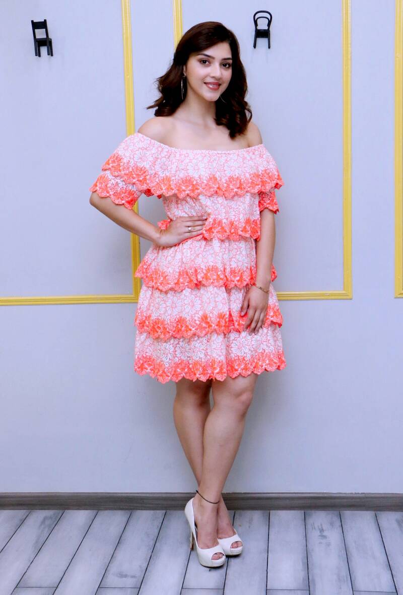 mehrene-kaur-pirzada-at-aswathama-movie-interview7-standard.jpg