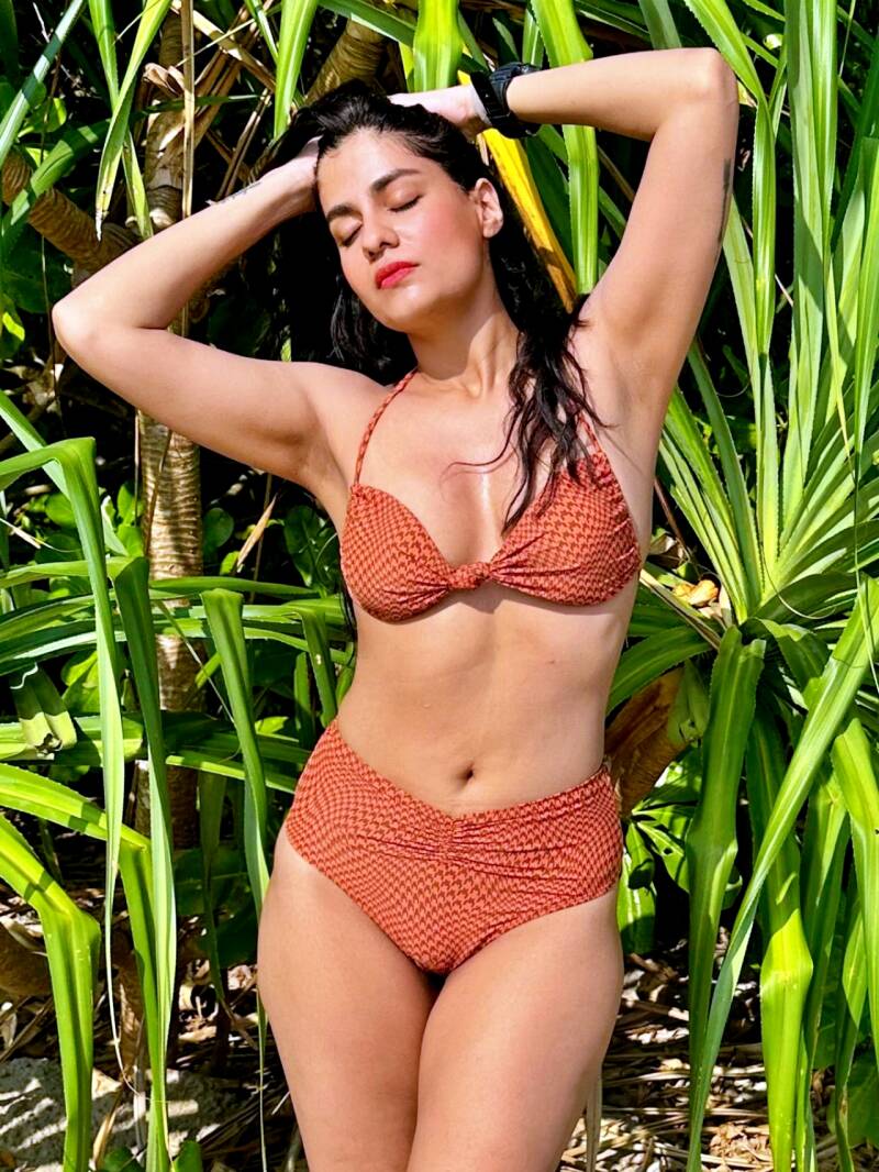 Shreya Danwantary hot in brown bikini hot look on the beach 4