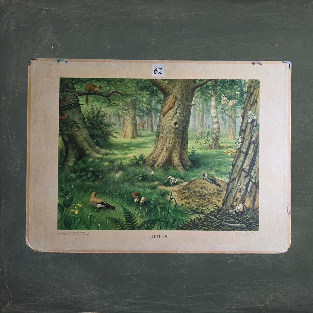 In het bos en bijplaat Het Nardermeer