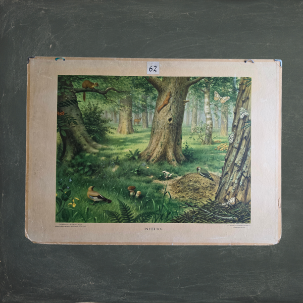 In het bos en bijplaat Het Nardermeer