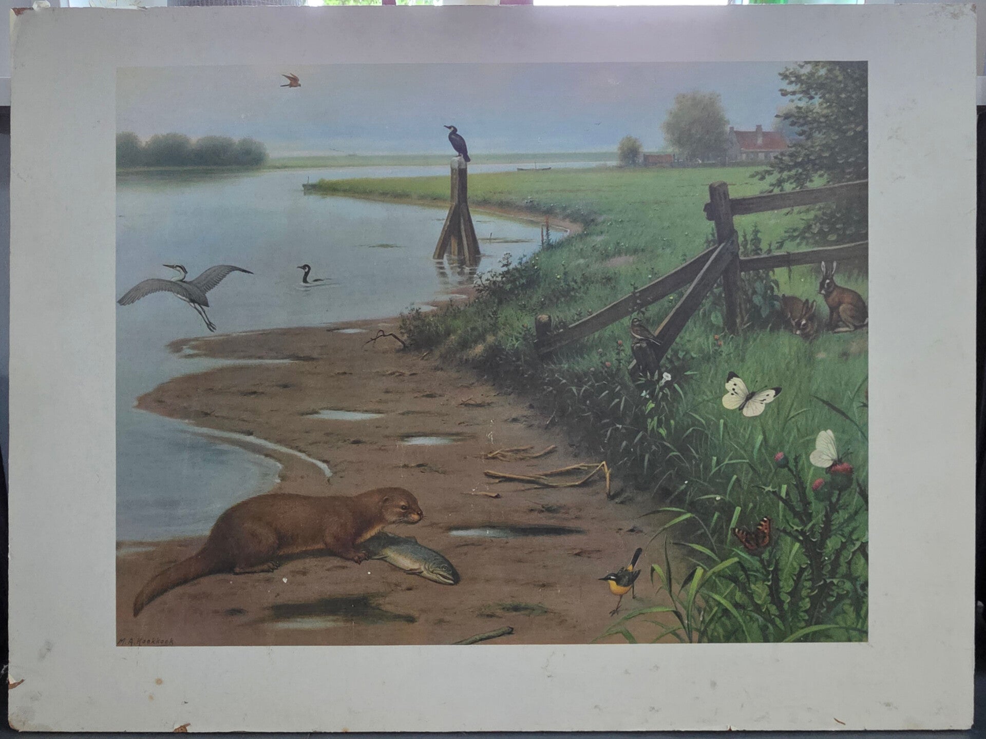Aan de rivier