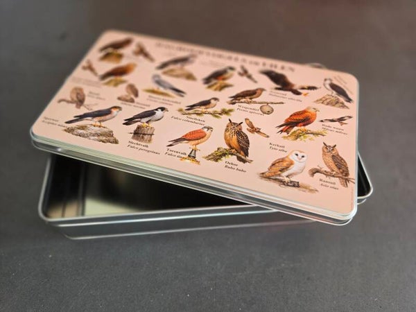 Koektrommel Dagroofvogels en uilen