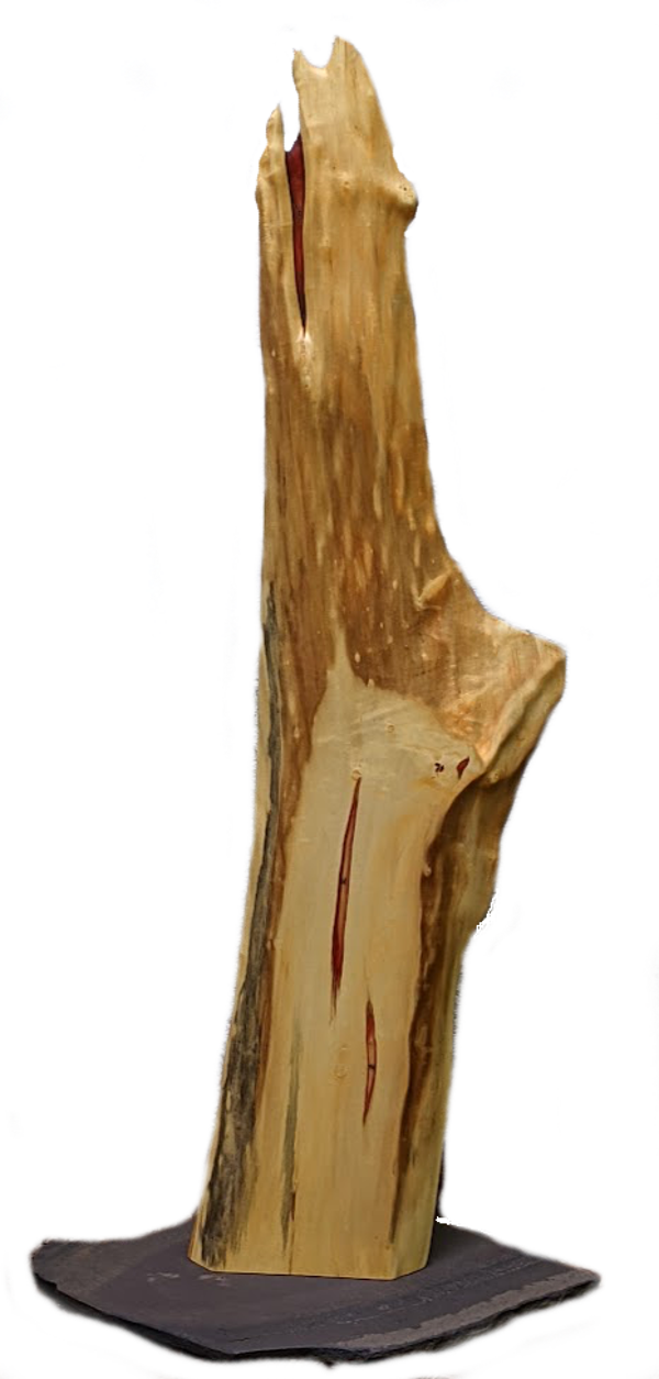 Box Elder Sculpture