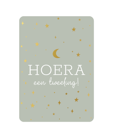 Hoera een tweeling!