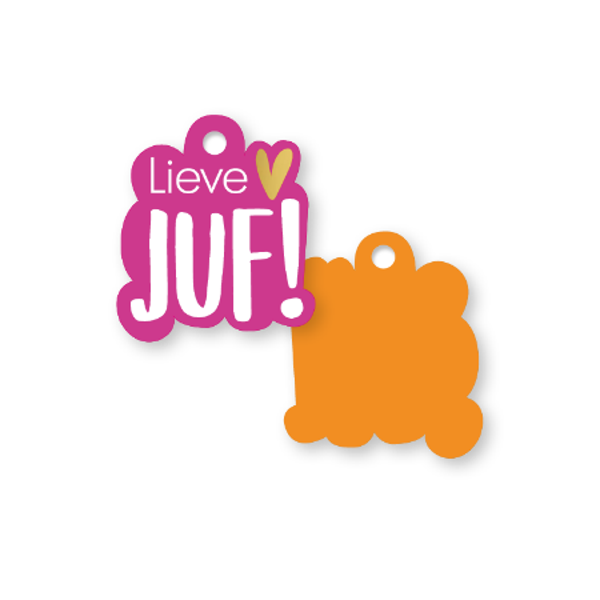 Cadeaulabel - Lieve juf! per 2 stuks
